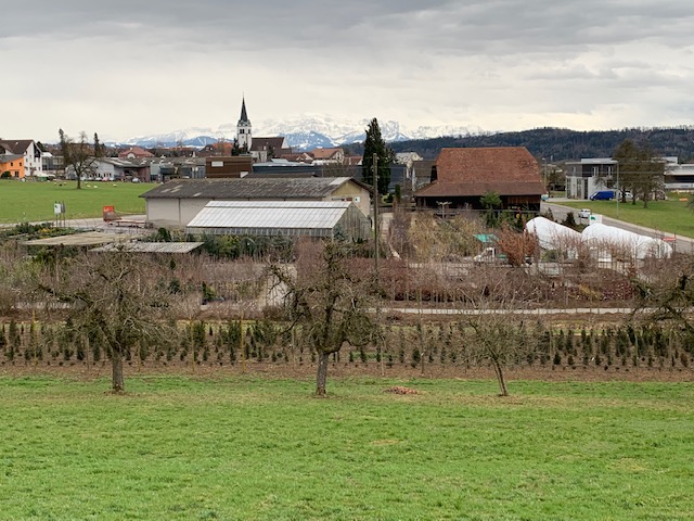 Kurt Rüdisühli Baumschulen